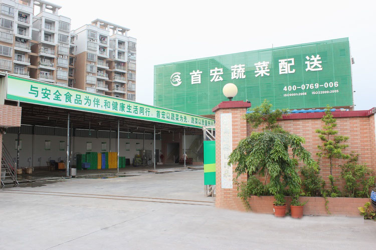 惠州蔬菜配送